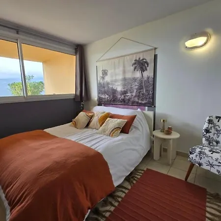 2 Pièces Superbe Vue Clim Et Wifi Piscine Chauffée Appartamento Serra di Ferro