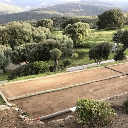 Schöne Klimatisierte Mit Atemberaubendem Meerblick Terrasse Wlan Apartment Serra-di-Ferro (Corsica)